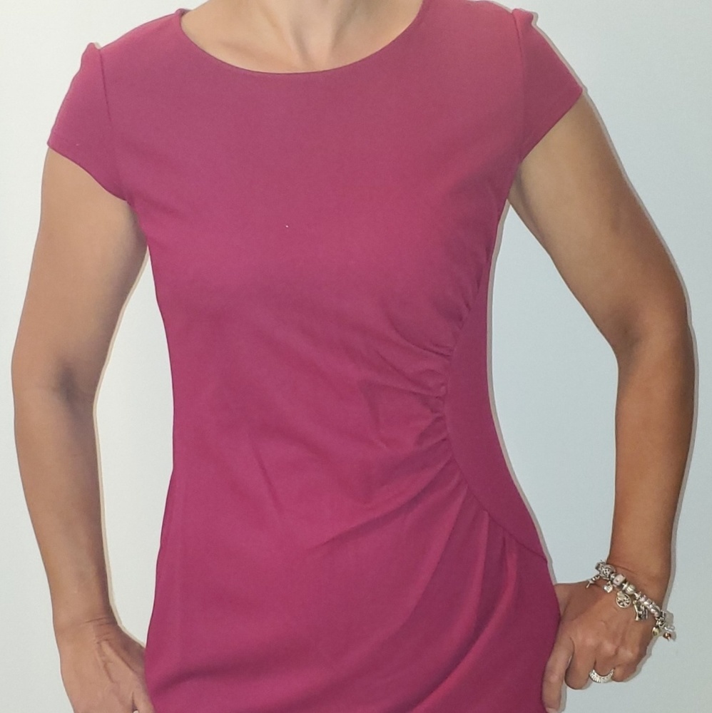 Lafayette 148 New York Cordovan Dress Size 4 NWT